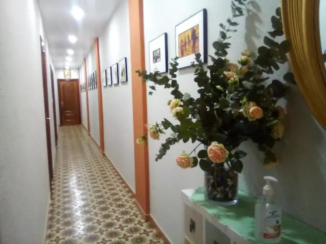Las Golondrinas Zaragoza Habitacion Individual Экстерьер фото